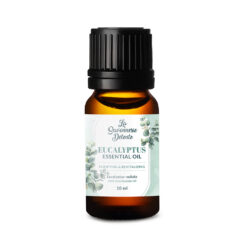 Essential Oil 10ml - Eucalyptus